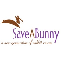 SaveABunny logo, SaveABunny contact details