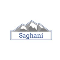 Saghani Consulting LLC logo, Saghani Consulting LLC contact details