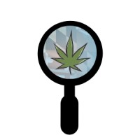 Explore Maryland Cannabis logo, Explore Maryland Cannabis contact details