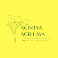 Acintya Agrilaya Indonesia logo, Acintya Agrilaya Indonesia contact details