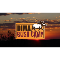 DIMA BUSH CAMP logo, DIMA BUSH CAMP contact details