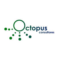 Octopus Consultores logo, Octopus Consultores contact details