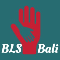 BLS Internships Bali logo, BLS Internships Bali contact details