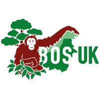 Borneo Orangutan Survival UK logo, Borneo Orangutan Survival UK contact details