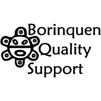 Borinquen Quality Support logo, Borinquen Quality Support contact details