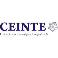 CEINTE Consultoría Estratégica Integral S.A. logo, CEINTE Consultoría Estratégica Integral S.A. contact details