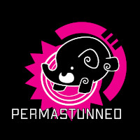 Permastunned Gaming logo, Permastunned Gaming contact details