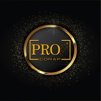 PRO SOCKS logo, PRO SOCKS contact details