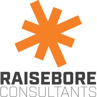 Raisebore Consultants logo, Raisebore Consultants contact details