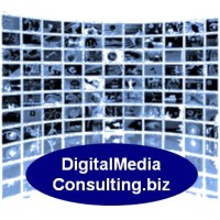 DigitalMediaConsulting.biz logo, DigitalMediaConsulting.biz contact details