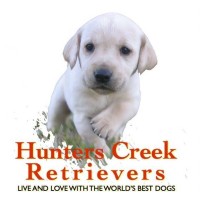 Hunters Creek Retrievers - Top Dog Training USA logo, Hunters Creek Retrievers - Top Dog Training USA contact details