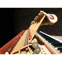 Piano Science - Tuning, Service, and Repair logo, Piano Science - Tuning, Service, and Repair contact details