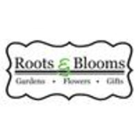 Roots and Blooms logo, Roots and Blooms contact details