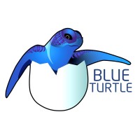 Blue Turtle logo, Blue Turtle contact details