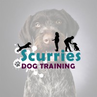 Scurries Dog Training logo, Scurries Dog Training contact details