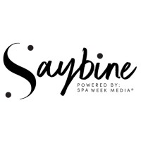 Saybine, Inc logo, Saybine, Inc contact details