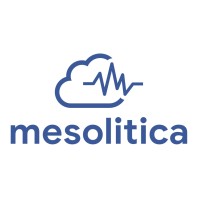 Mesolitica logo, Mesolitica contact details