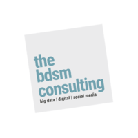 The BDSM Consulting Sdn. Bhd. logo, The BDSM Consulting Sdn. Bhd. contact details