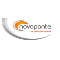 NOVOPONTE logo, NOVOPONTE contact details