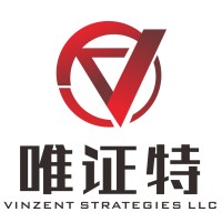 Vinzent Strategies LLC logo, Vinzent Strategies LLC contact details