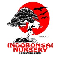 PT. Indobonsai Jaya Lestari logo, PT. Indobonsai Jaya Lestari contact details