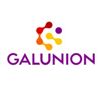 Galunion Consultoria para Foodservice logo, Galunion Consultoria para Foodservice contact details