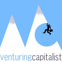 VenturingCapitalist.com logo, VenturingCapitalist.com contact details