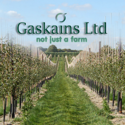 Gaskains Limited logo, Gaskains Limited contact details