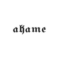 Akame Lab logo, Akame Lab contact details