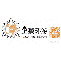 Penguin Travel logo, Penguin Travel contact details