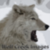 Wolf Creek Images LLC logo, Wolf Creek Images LLC contact details