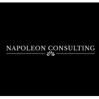 Napoleon Consulting logo, Napoleon Consulting contact details