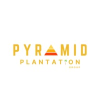 Pyramid Plantation Group logo, Pyramid Plantation Group contact details