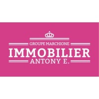 Agence Immobilière Antony E. Sàrl logo, Agence Immobilière Antony E. Sàrl contact details