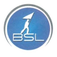 BSL Consulting LLC logo, BSL Consulting LLC contact details