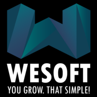 wesoft.ro logo, wesoft.ro contact details