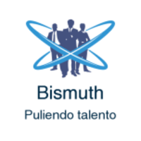 Bismuth logo, Bismuth contact details