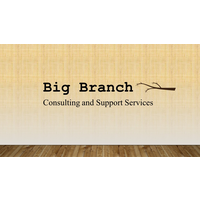 Big Branch Consulting and Support Services logo, Big Branch Consulting and Support Services contact details