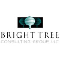 Bright Tree Consulting Group, LLC logo, Bright Tree Consulting Group, LLC contact details