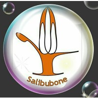 The SALIBUBONE Group logo, The SALIBUBONE Group contact details