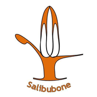 RIAU SALIBUBONE PUTRA ANDALAS logo, RIAU SALIBUBONE PUTRA ANDALAS contact details