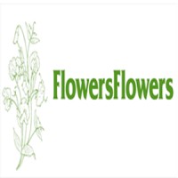 FlowersFlowers logo, FlowersFlowers contact details