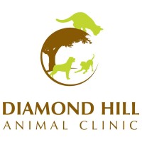 Diamond Hill Animal Clinic RI logo, Diamond Hill Animal Clinic RI contact details