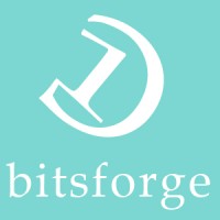 BITSFORGE logo, BITSFORGE contact details