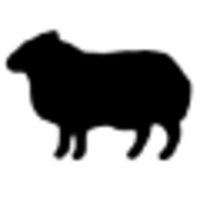 Black Sheep Equity LLC logo, Black Sheep Equity LLC contact details