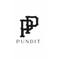 Style Pundit LLC logo, Style Pundit LLC contact details