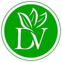 David Vanille - DavidVanille.com logo, David Vanille - DavidVanille.com contact details