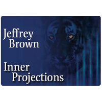 Inner Projection, Inc. logo, Inner Projection, Inc. contact details