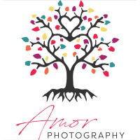 Amor Photography logo, Amor Photography contact details