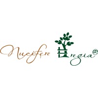 Nucifere Regia logo, Nucifere Regia contact details